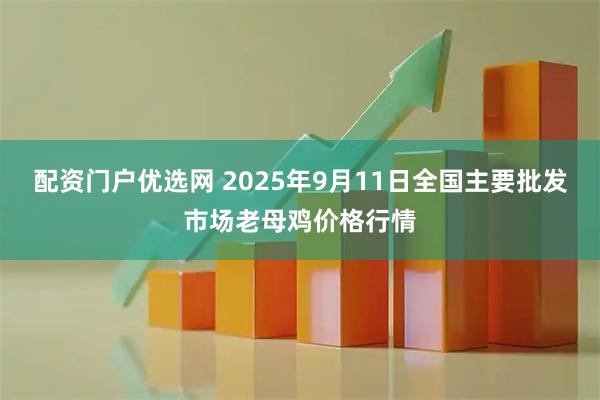 配资门户优选网 2025年9月11日全国主要批发市场老母鸡价格行情