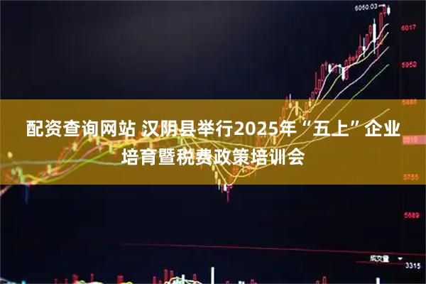 配资查询网站 汉阴县举行2025年“五上”企业培育暨税费政策培训会